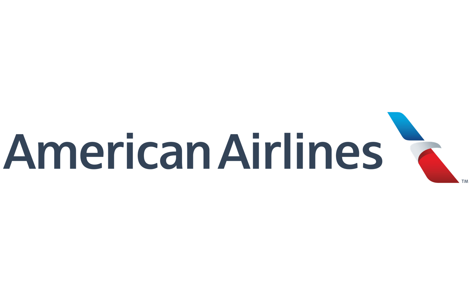 American Airline Onward Ticket